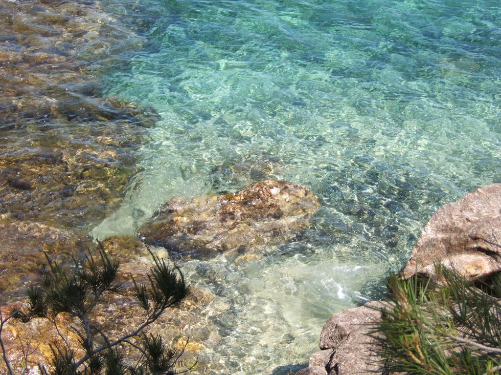 Les Lauriers Roses Rayol-Canadel-sur-Mer Exterior foto