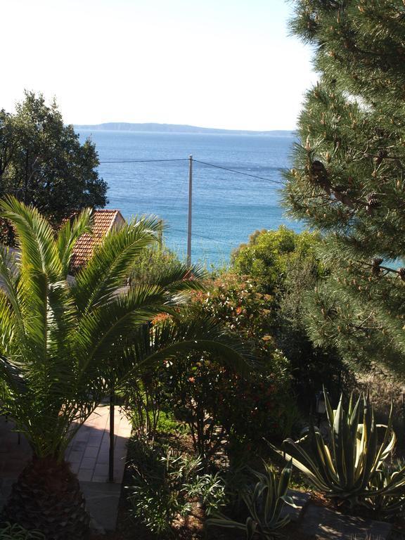 Les Lauriers Roses Rayol-Canadel-sur-Mer Exterior foto