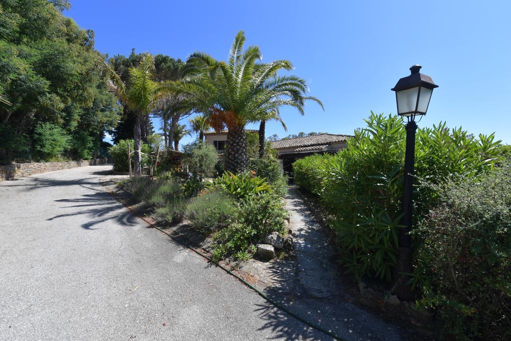Les Lauriers Roses Rayol-Canadel-sur-Mer Exterior foto