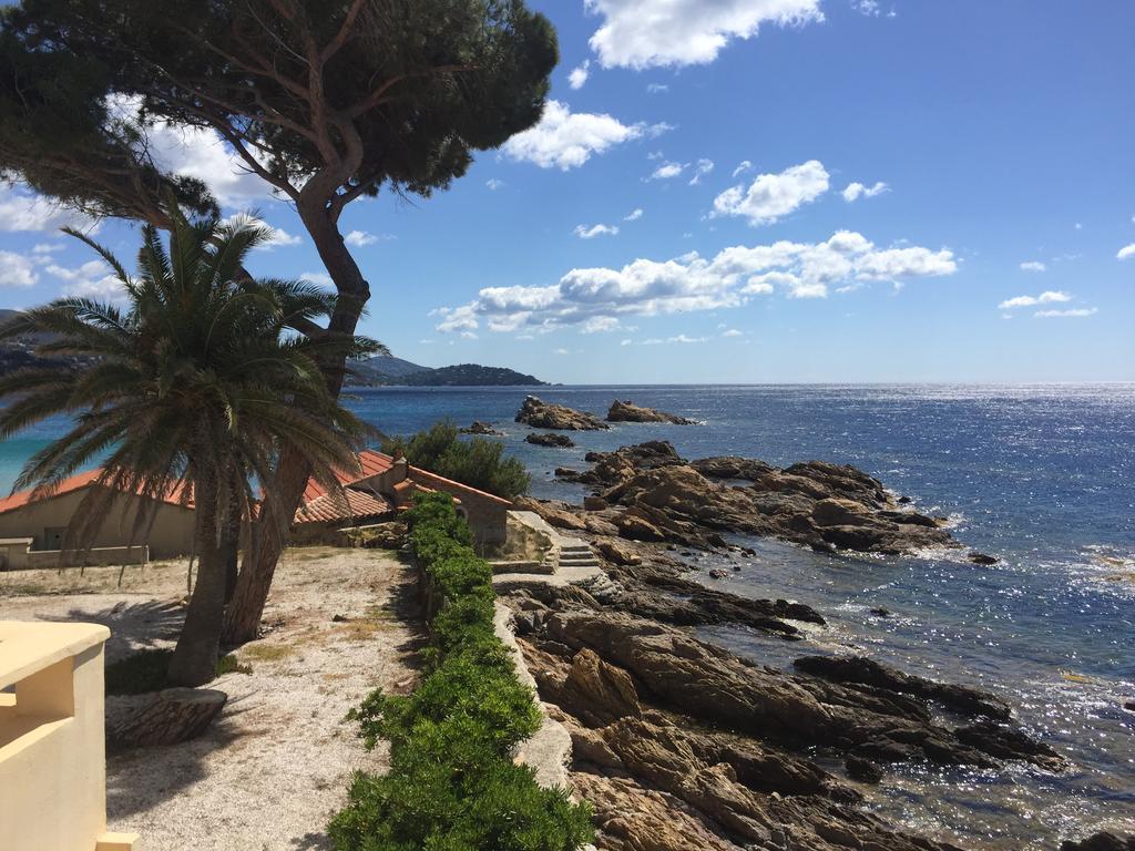 Les Lauriers Roses Rayol-Canadel-sur-Mer Exterior foto